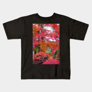 Autumn Colours 5 Kids T-Shirt